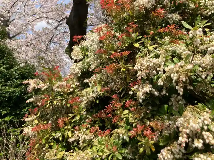 孝道山の{uncategorized: "未分類", other: "その他", undefined: "問題あり", building: "その他建物", grave: "お墓", sacred_gate: "鳥居", guardian: "狛犬", statue: "像", buddha: "仏像", history: "歴史", nature: "自然", garden: "庭園", animal: "動物", pagoda: "塔", temizu: "手水舎", mountain_gate: "山門・神門", sanctuary: "本殿・本堂", subordinate: "末社・摂社", art: "芸術", scenery: "景色", jizo: "地蔵", ema: "絵馬", goshuin: "御朱印", omikuji: "おみくじ", items: "授与品その他", amulet: "お守り", goshuincho: "御朱印帳", eats: "食事", festival: "お祭り", votive_dance: "神楽", shichigosan: "七五三参", wedding: "結婚式", experience: "体験その他", initially: "初詣", around: "周辺", anti_infection: "感染症対策"}