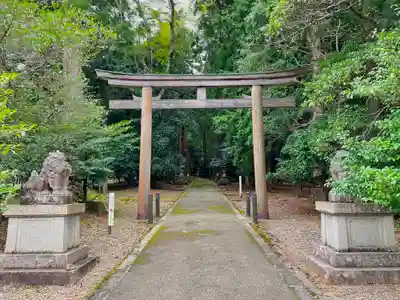 若狭彦神社（上社）の鳥居