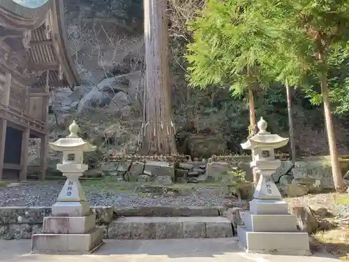 山王神社の自然