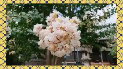 大蔵院(群馬県)