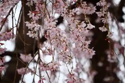 熊野福藏神社の自然