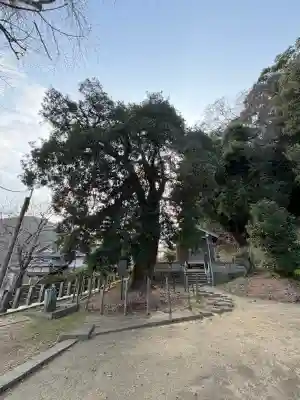 四所神社の{uncategorized: "未分類", other: "その他", undefined: "問題あり", building: "その他建物", grave: "お墓", sacred_gate: "鳥居", guardian: "狛犬", statue: "像", buddha: "仏像", history: "歴史", nature: "自然", garden: "庭園", animal: "動物", pagoda: "塔", temizu: "手水舎", mountain_gate: "山門・神門", sanctuary: "本殿・本堂", subordinate: "末社・摂社", art: "芸術", scenery: "景色", jizo: "地蔵", ema: "絵馬", goshuin: "御朱印", omikuji: "おみくじ", items: "授与品その他", amulet: "お守り", goshuincho: "御朱印帳", eats: "食事", festival: "お祭り", votive_dance: "神楽", shichigosan: "七五三参", wedding: "結婚式", experience: "体験その他", initially: "初詣", around: "周辺", anti_infection: "感染症対策"}