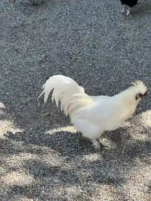 石上神宮(奈良県)