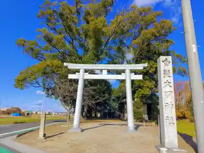 白髭大明神社(上祖父江)の鳥居