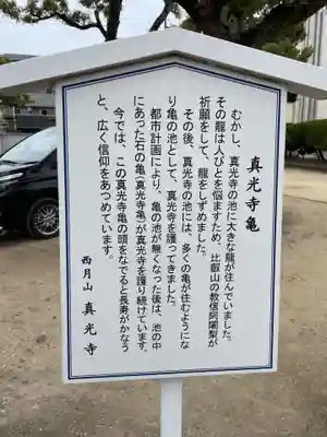 真光寺(兵庫県)