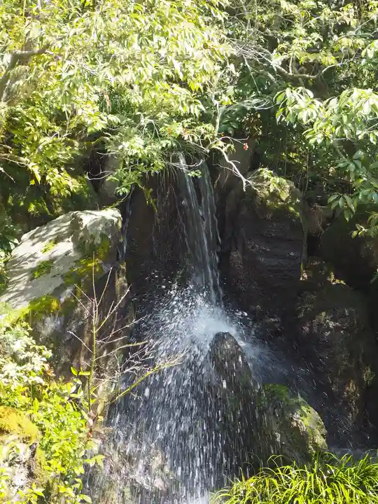 鹿苑寺(金閣寺)の自然