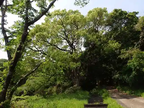 瀧神社（都農神社末社（奥宮））の自然
