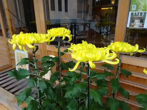 菊名神社の自然