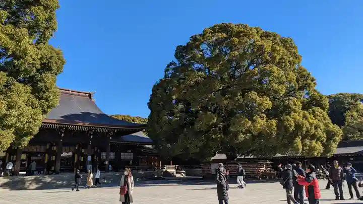 明治神宮(東京都)