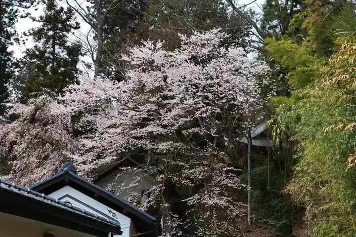 田村神社の自然