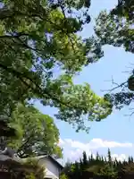 刺田比古神社(和歌山県)
