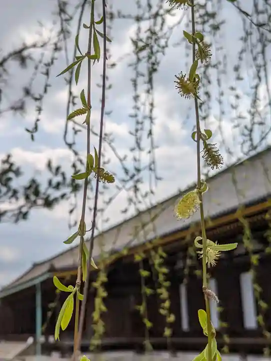 蓮華王院(三十三間堂)(京都府)