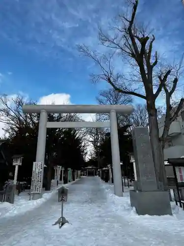 新琴似神社の鳥居