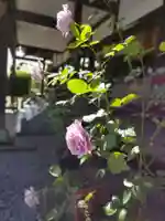 東光寺の本殿・本堂