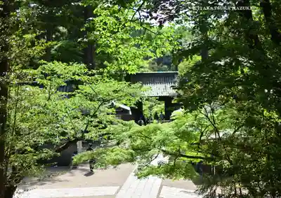 円覚寺(神奈川県)