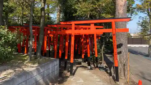 東伏見稲荷神社の鳥居
