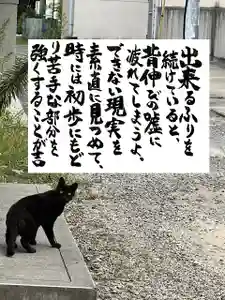 専念寺(大阪府)(2023年03月25日(土) 19時28分22秒投稿)