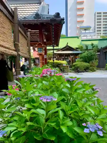仙台大神宮の自然