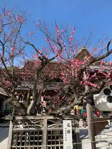 北野天満宮の庭園