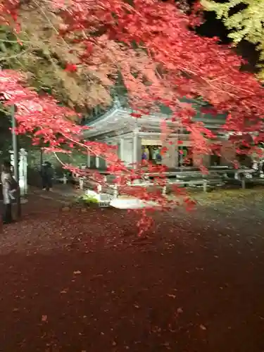 富貴寺(大分県)