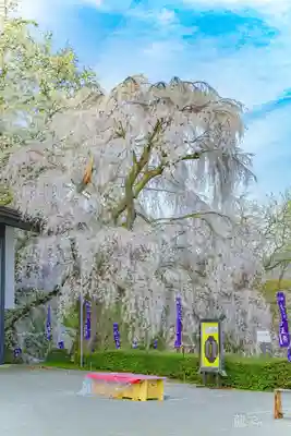 烏帽子山八幡宮(山形県)