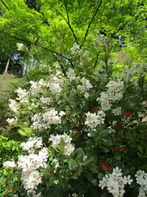 三室戸寺(京都府)