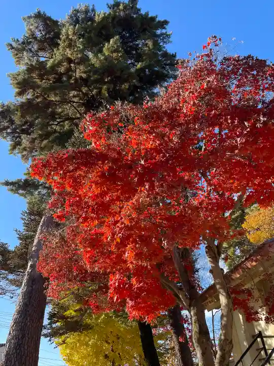 下野國一社八幡宮(栃木県)
