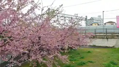 木津釈迦堂の周辺