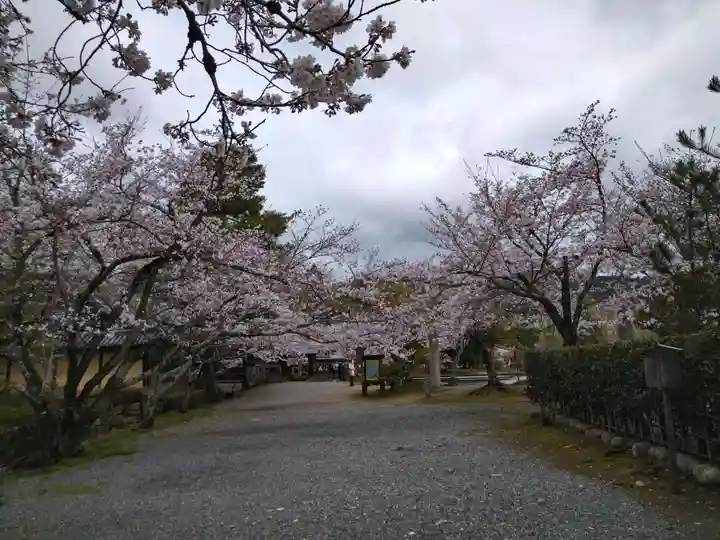 大覚寺(京都府)
