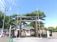 櫻岡大神宮の鳥居