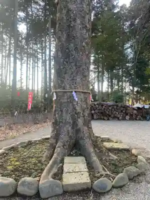 芳賀天満宮(栃木県)