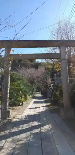 五所神社の鳥居