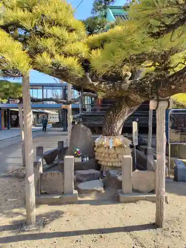 題経寺（柴又帝釈天）(東京都)