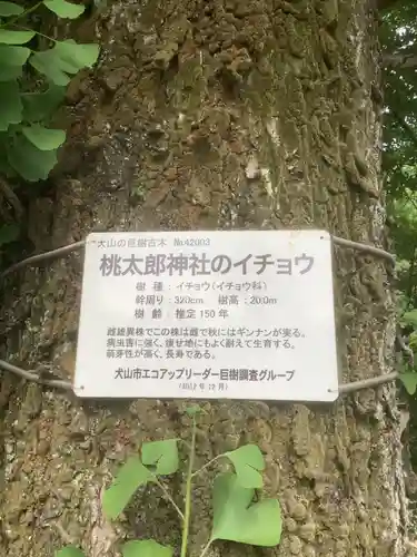 桃太郎神社（栗栖）の歴史