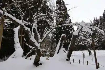 磐椅神社の自然