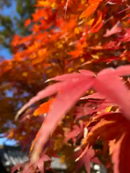 曹源寺(岡山県)