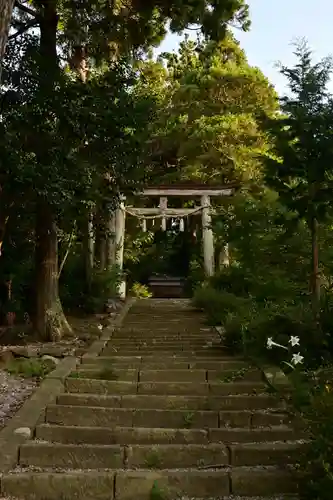 天健金草神社(島根県)