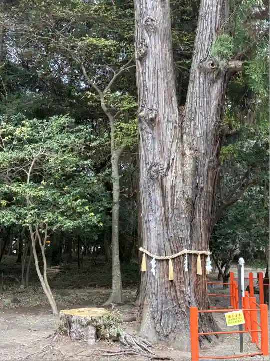 息栖神社(茨城県)