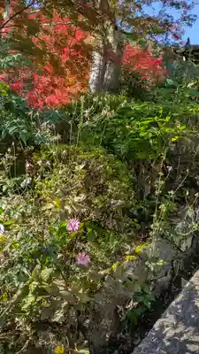 善峯寺(京都府)