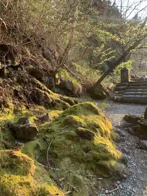 慈雲寺(並び地蔵 化け地蔵)の自然