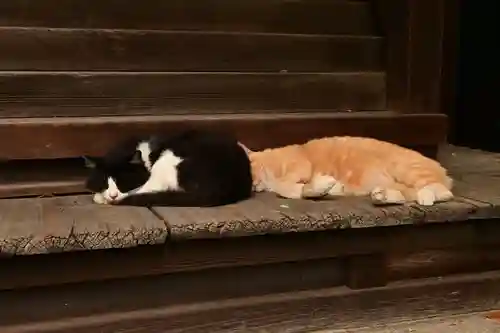 琴彈八幡宮(香川県)