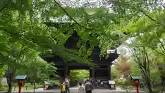 淨眞寺(東京都)