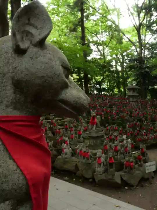 豊川閣 妙厳寺の狛犬