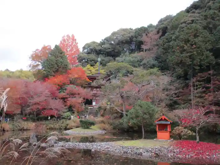 浄瑠璃寺(京都府)