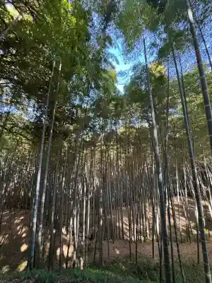 石清水八幡宮の{uncategorized: "未分類", other: "その他", undefined: "問題あり", building: "その他建物", grave: "お墓", sacred_gate: "鳥居", guardian: "狛犬", statue: "像", buddha: "仏像", history: "歴史", nature: "自然", garden: "庭園", animal: "動物", pagoda: "塔", temizu: "手水舎", mountain_gate: "山門・神門", sanctuary: "本殿・本堂", subordinate: "末社・摂社", art: "芸術", scenery: "景色", jizo: "地蔵", ema: "絵馬", goshuin: "御朱印", omikuji: "おみくじ", items: "授与品その他", amulet: "お守り", goshuincho: "御朱印帳", eats: "食事", festival: "お祭り", votive_dance: "神楽", shichigosan: "七五三参", wedding: "結婚式", experience: "体験その他", initially: "初詣", around: "周辺", anti_infection: "感染症対策"}