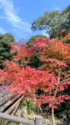 勝尾寺(大阪府)