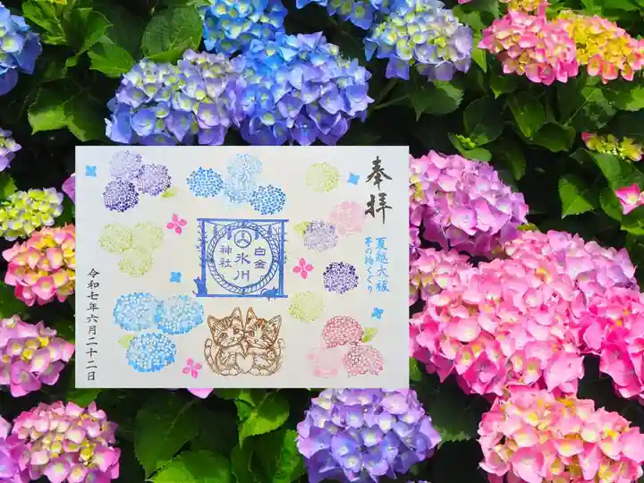 白金氷川神社の御朱印