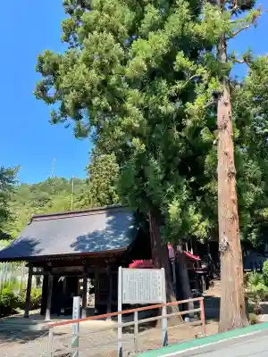 初鹿野諏訪神社(山梨県)