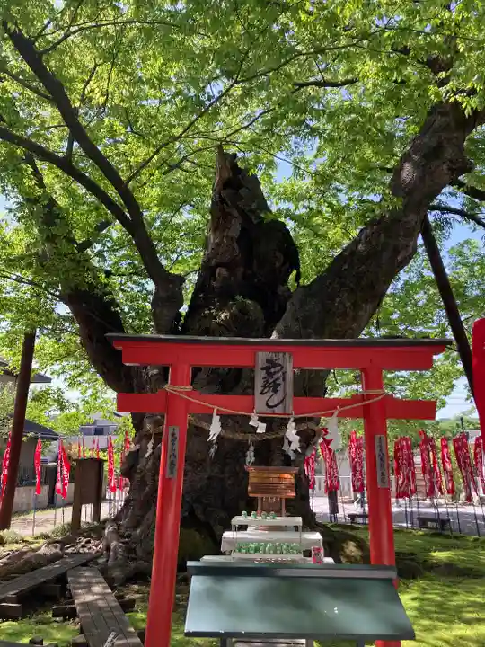 秩父今宮神社(埼玉県)