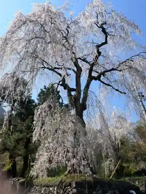 妙義神社(群馬県)